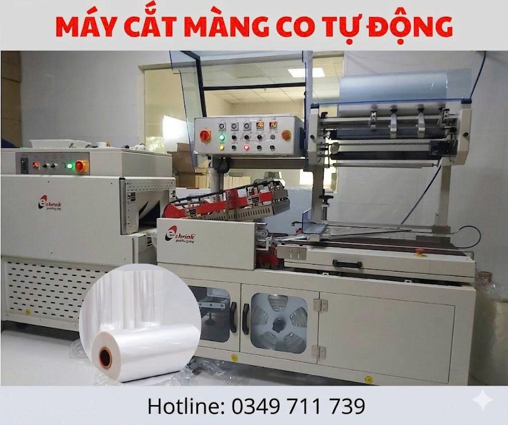 Công ty cổ phần giải pháp công nghiệp Á Châu (AIS)